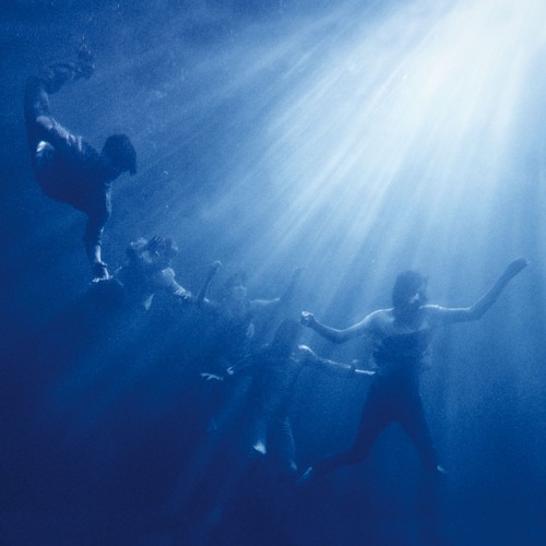 Spanish Sahara - Foals